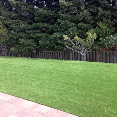 Synthetic Turf Supplier Lenwood, California Lawn And Landscape, Backyard Garden Ideas