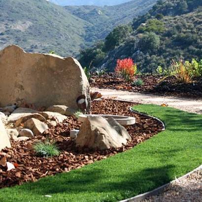 Turf Grass East Los Angeles, California Backyard Playground, Front Yard Landscaping Ideas