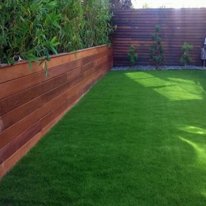 Turf Grass Hawthorne, California Landscape Design, Backyards