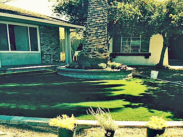 Artificial Grass Beaumont, California Design Ideas, Front Yard Landscaping Ideas