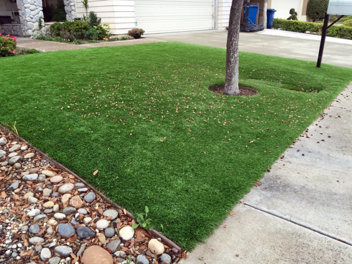 Artificial Grass Carpet Avocado Heights, California Lawn And Garden, Landscaping Ideas For Front Yard