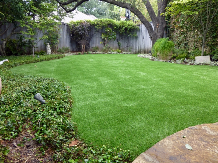 Artificial Grass Carpet Belvedere, California City Landscape, Backyard Makeover