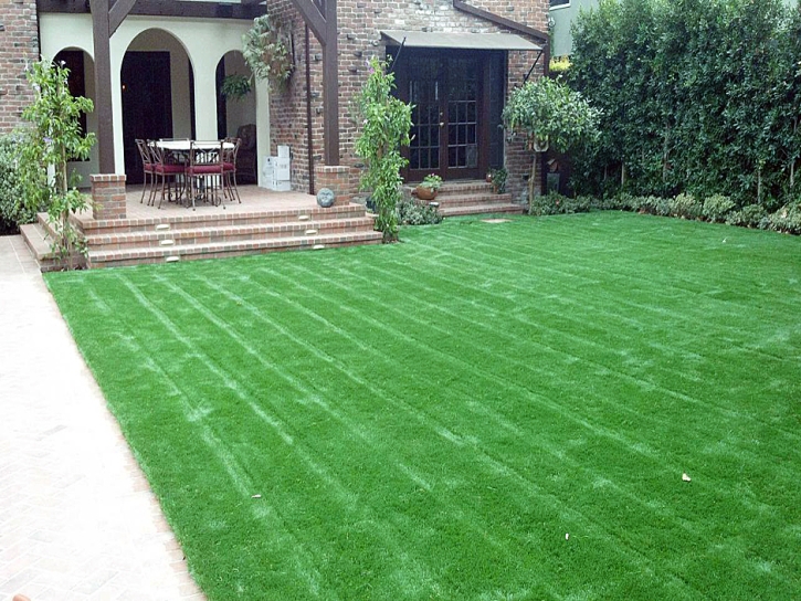 Artificial Grass Carpet Citrus, California Home And Garden, Front Yard Landscape Ideas