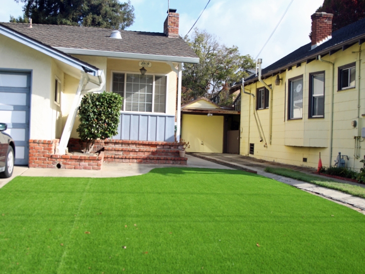 Artificial Grass Carpet Dana Point, California Landscaping Business, Small Front Yard Landscaping