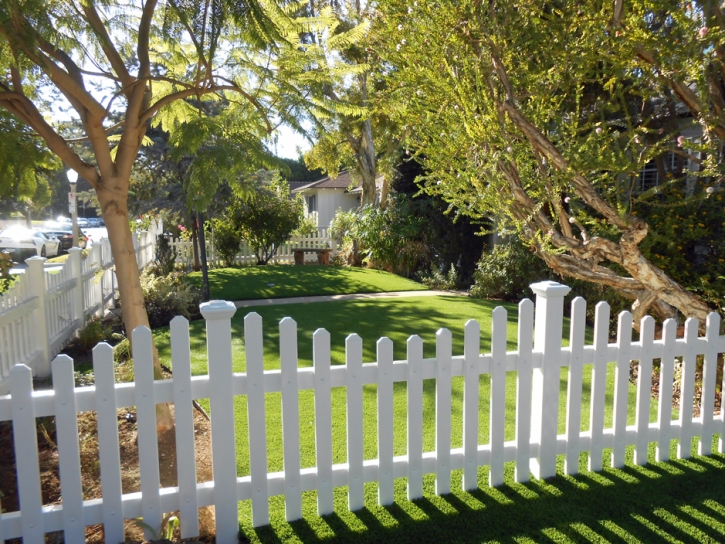 Artificial Grass Carpet Pinon Hills, California Home And Garden, Small Front Yard Landscaping