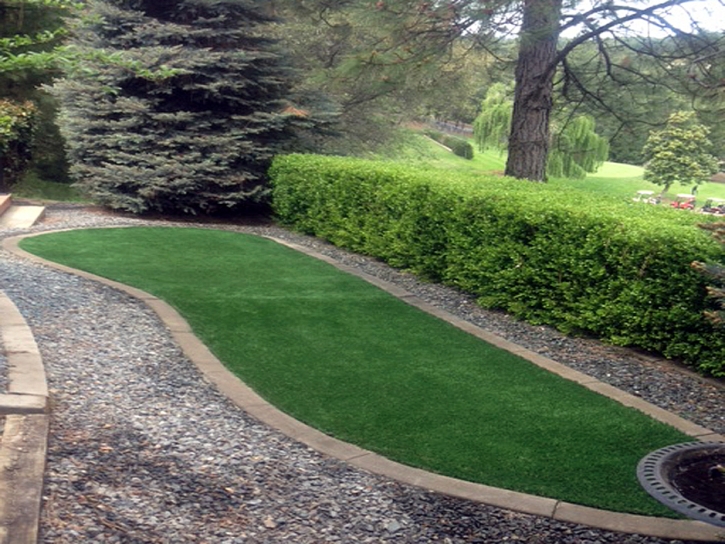 Artificial Grass Carpet Richgrove, California Landscaping Business