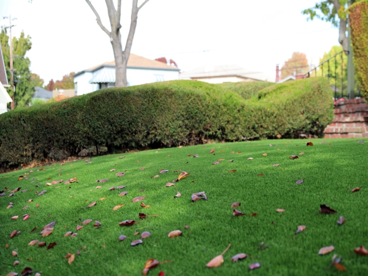 Artificial Grass Carpet Seal Beach, California Garden Ideas, Front Yard Landscape Ideas