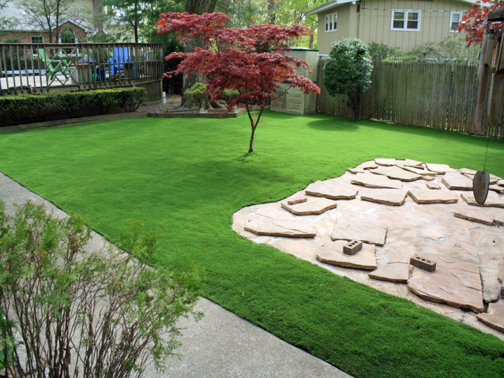 Artificial Grass Carpet West Hollywood, California Rooftop, Backyard Makeover