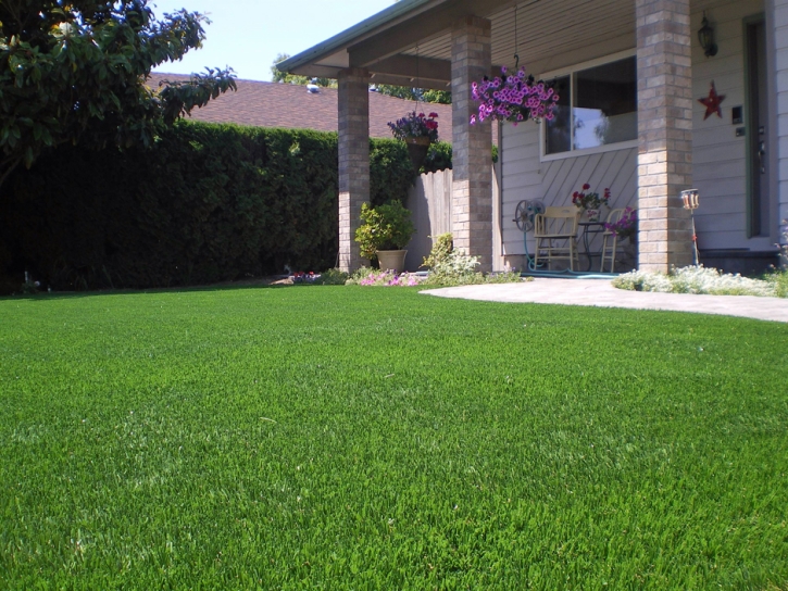 Artificial Grass Carpet Westmont, California Landscape Photos, Landscaping Ideas For Front Yard