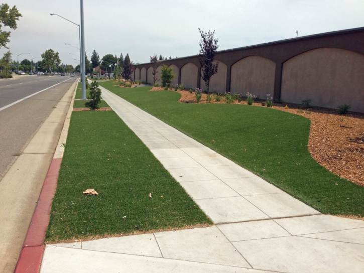 Artificial Grass Covina, California Backyard Playground, Commercial Landscape