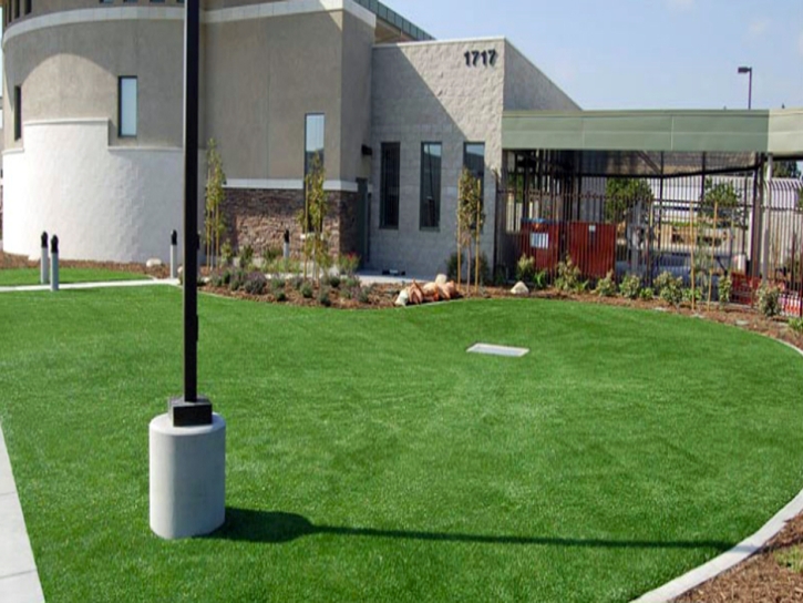 Artificial Grass Garnet, California Landscape Design, Commercial Landscape