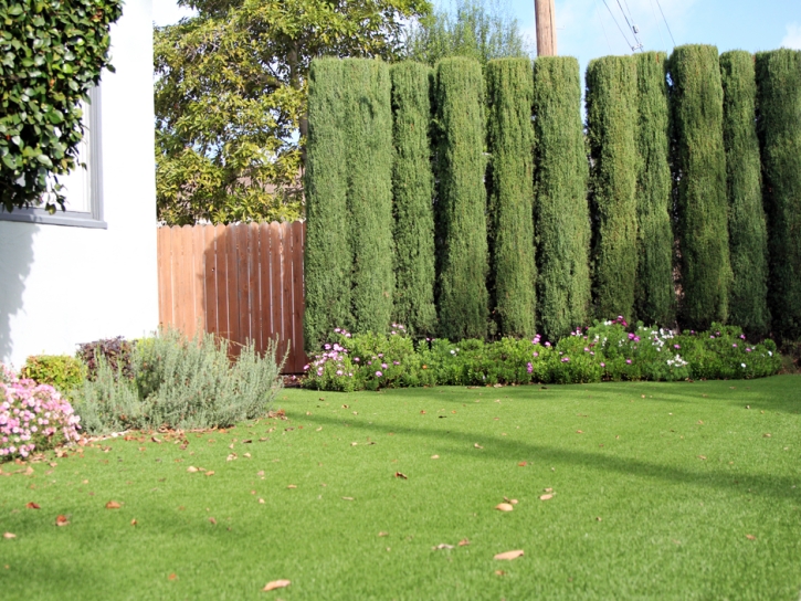 Artificial Grass Installation Compton, California Design Ideas, Front Yard Landscape Ideas