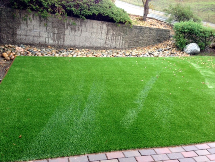 Artificial Grass Newport Beach, California Lawn And Garden, Front Yard Ideas