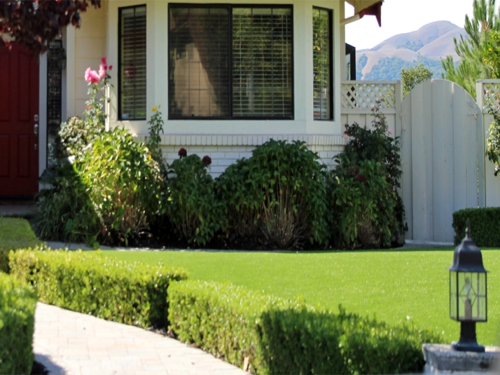 Artificial Grass Randsburg, California Landscaping Business, Front Yard Ideas