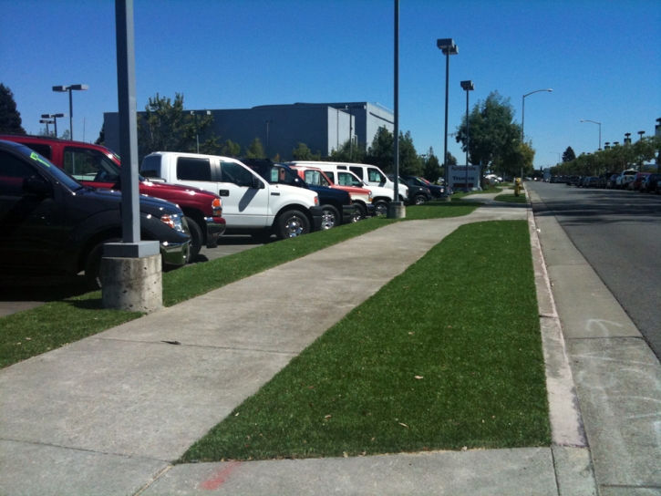 Artificial Grass , Roof Top, Commercial Landscape