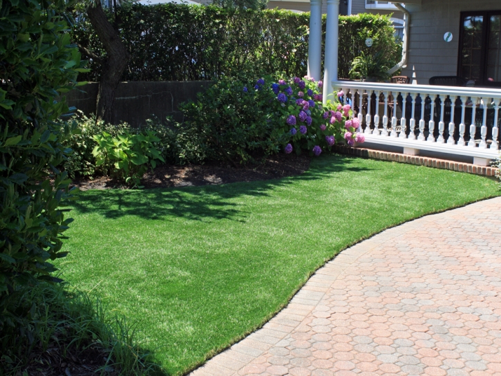 Artificial Grass , Rooftop, Front Yard Landscaping