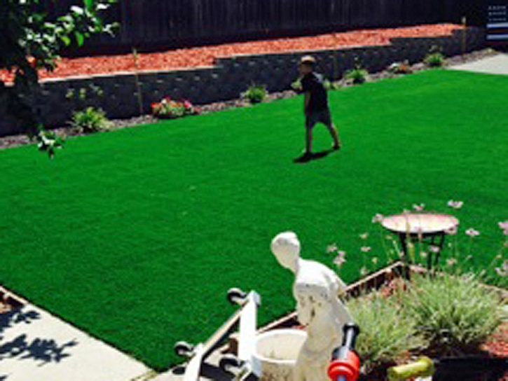 Artificial Grass Woodland Hills, California Landscape Rock, Backyard Makeover