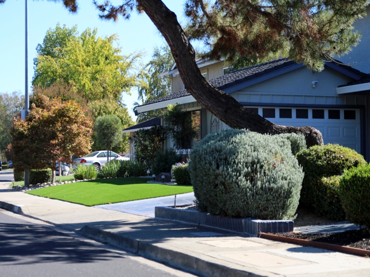 Artificial Lawn Julian, California Backyard Playground, Front Yard Ideas