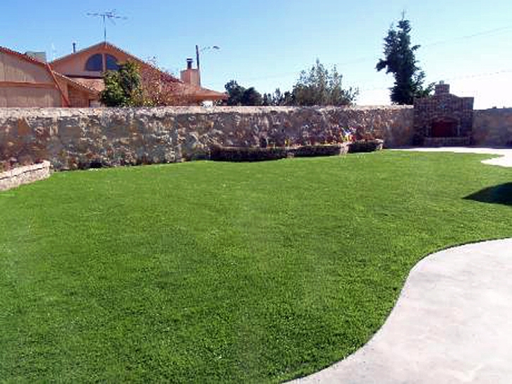 Artificial Lawn Long Beach, California Home And Garden, Beautiful Backyards