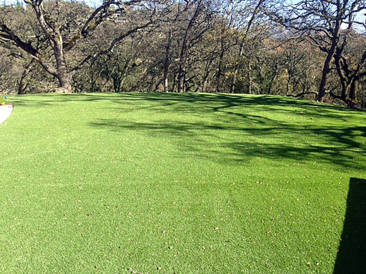 Artificial Lawn San Antonio Heights, California Rooftop, Parks