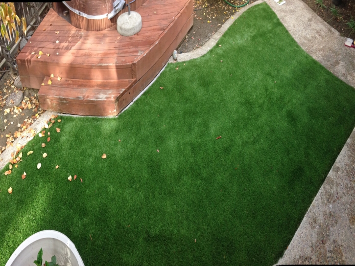 Artificial Lawn Santa Fe Springs, California City Landscape, Backyard Landscaping Ideas