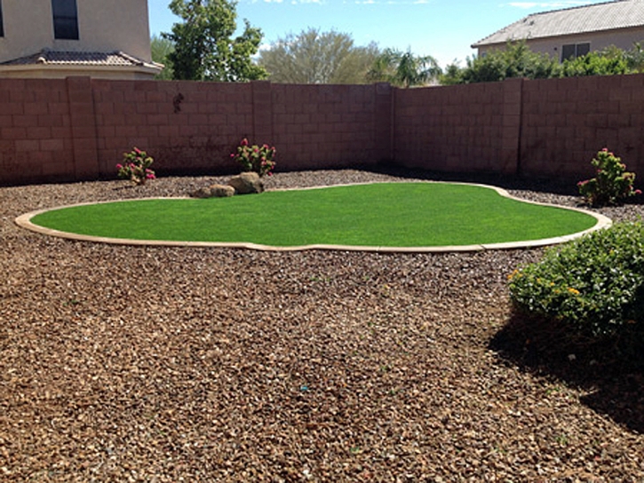 Artificial Turf Carson, California Landscape Photos, Backyard Ideas