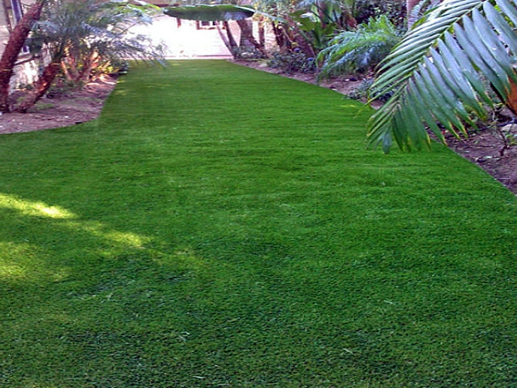 Artificial Turf Chino, California Design Ideas, Backyard Makeover