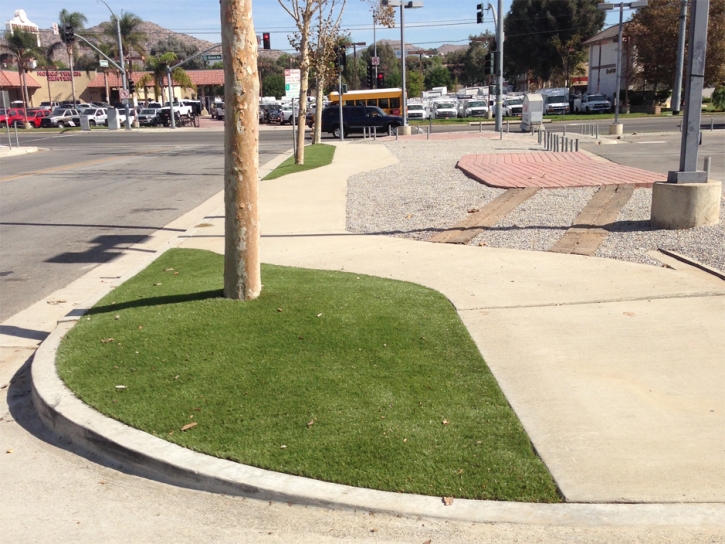 Artificial Turf Cost Rosedale, California Home And Garden, Commercial Landscape