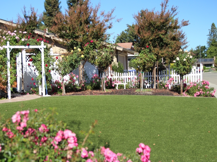 Artificial Turf Cost Valley Acres, California Home And Garden, Front Yard