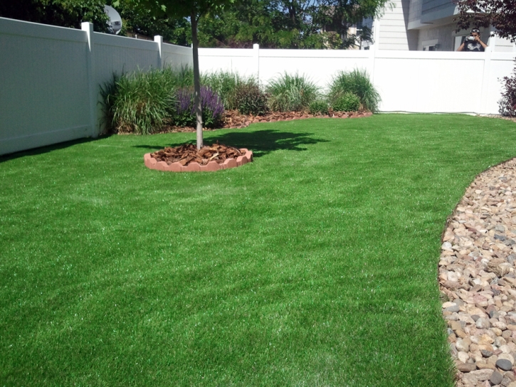 Artificial Turf Cost , City Landscape, Backyard Design