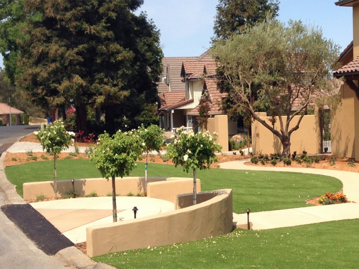 Artificial Turf Installation Avalon, California Garden Ideas, Front Yard Design