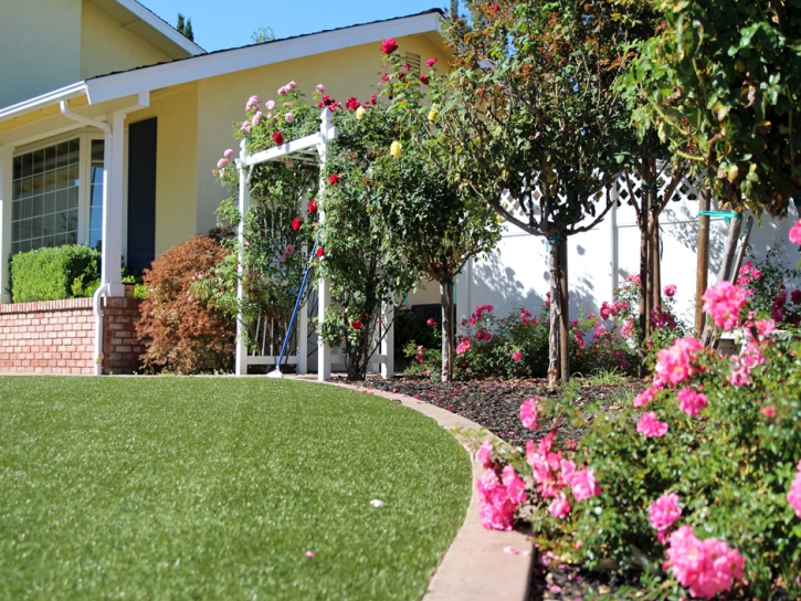 Artificial Turf Installation Crest, California Home And Garden, Front Yard Ideas