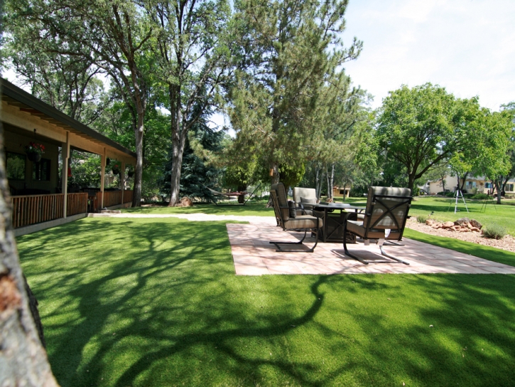 Artificial Turf Installation , Paver Patio, Backyard Landscaping