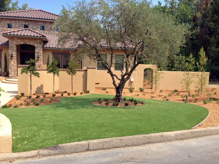 Artificial Turf La Puente, California Garden Ideas, Front Yard Landscaping