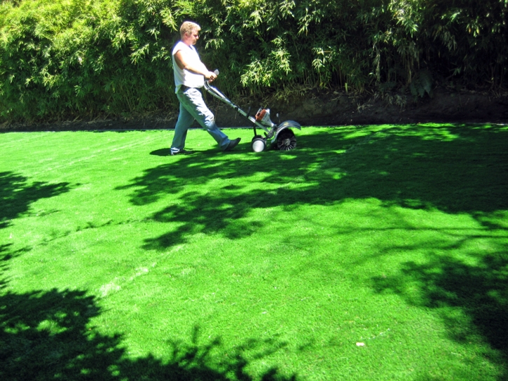 Artificial Turf Ocotillo, California Lawns, Backyard