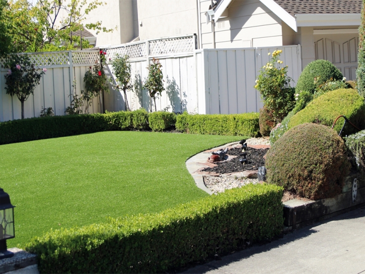 Artificial Turf Portola Hills, California Home And Garden, Front Yard Design