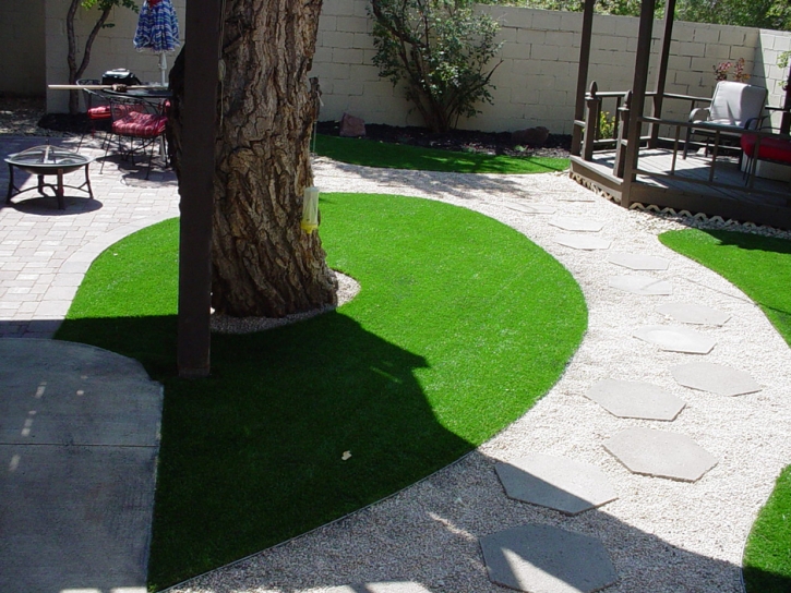 Artificial Turf Rubidoux, California Landscape Photos, Backyard Landscape Ideas