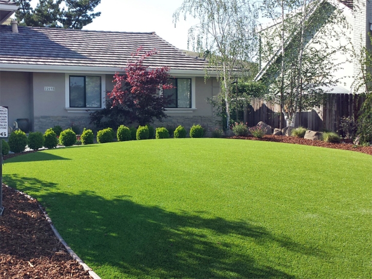 Artificial Turf Valinda, California Landscape Photos, Front Yard Design