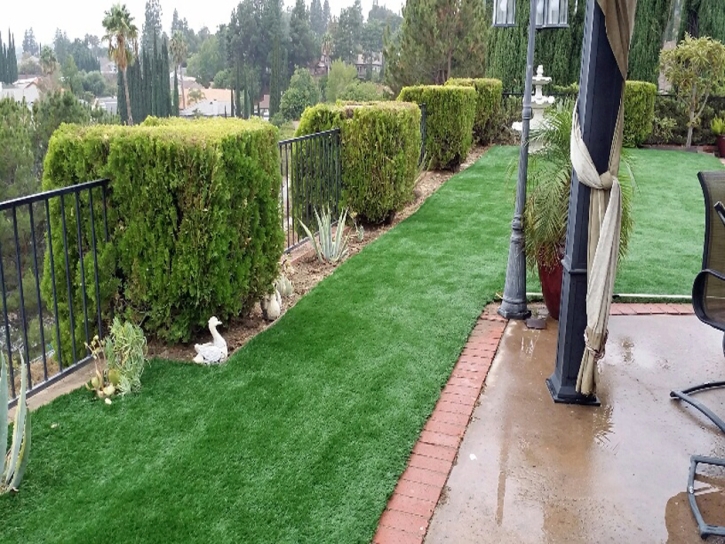 Artificial Turf Winter Gardens, California Backyard Deck Ideas, Beautiful Backyards