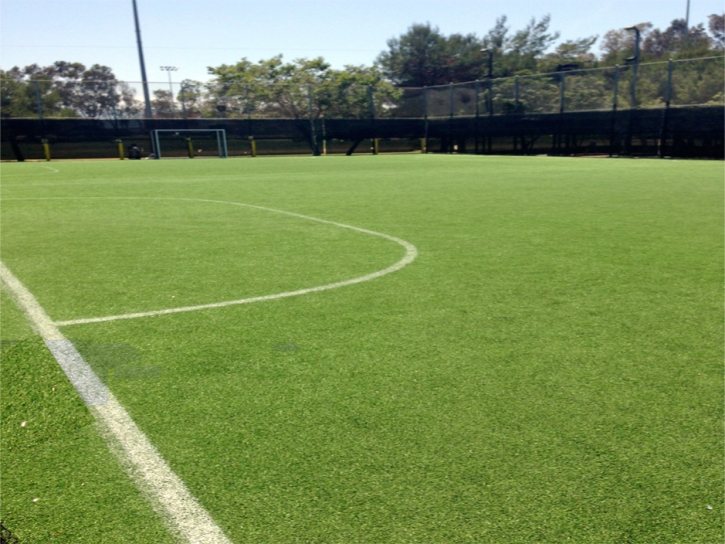 Best Artificial Grass Dana Point, California High School Sports