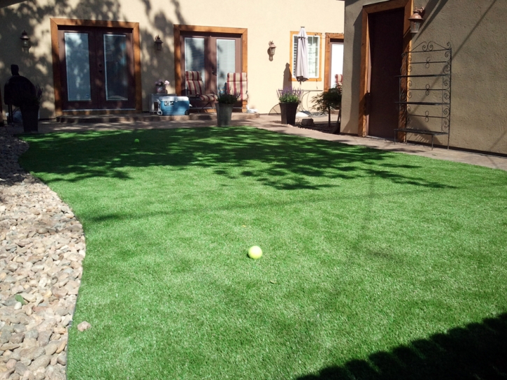 Best Artificial Grass Fallbrook, California Design Ideas, Backyard Landscape Ideas