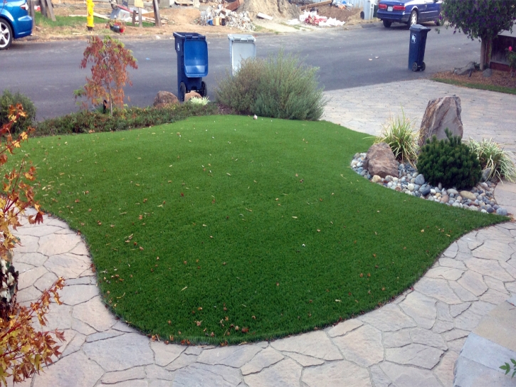 Best Artificial Grass Fountain Valley, California City Landscape