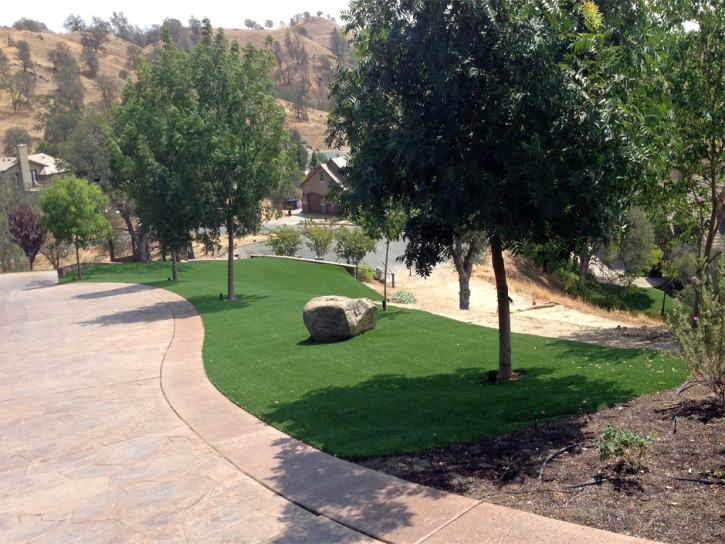 Best Artificial Grass Industry, California Design Ideas, Small Front Yard Landscaping