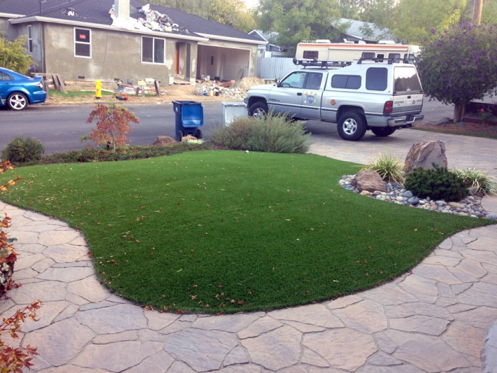 Best Artificial Grass Lake Isabella, California City Landscape, Front Yard Landscape Ideas