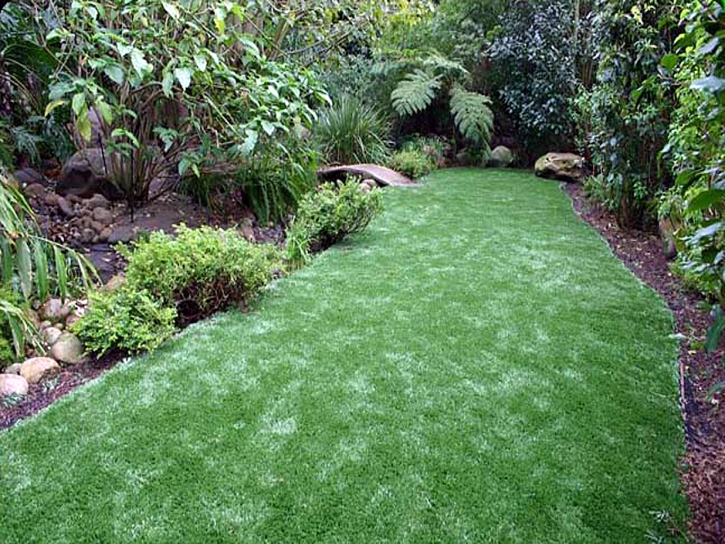 Best Artificial Grass Ramona, California Landscape Photos, Backyard Landscaping Ideas