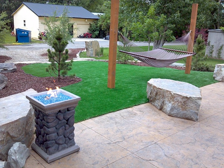 Best Artificial Grass Santa Monica, California Lawn And Garden, Front Yard