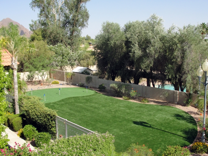 Fake Grass Canyon Lake, California Design Ideas, Backyard Garden Ideas