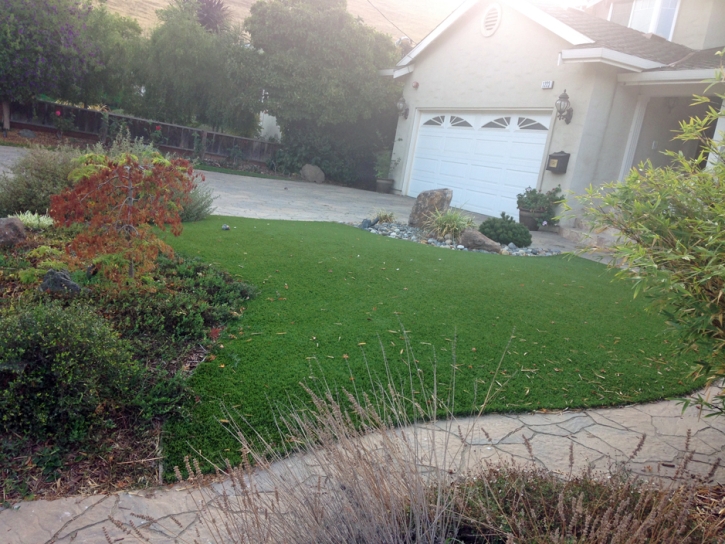 Fake Grass Carpet Allensworth, California Lawn And Garden, Front Yard