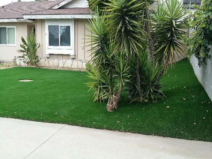 Fake Grass Carpet Casa de Oro-Mount Helix, California Backyard Playground, Front Yard Landscaping Ideas