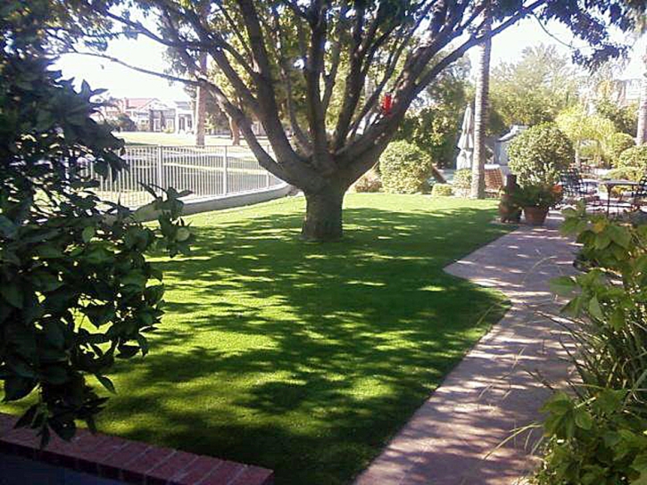 Fake Grass Carpet Highland, California Design Ideas